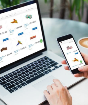 Interfaz de shopping